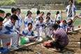 省科學(xué)院助力西安高新一中種植園建設(shè)