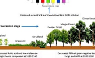 水保所劉國彬團隊在植被演替中有機質(zhì)穩(wěn)定性研究方面取得新進展