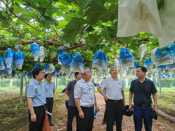 陳怡平等開展都市農(nóng)業(yè)農(nóng)村發(fā)展工作專題調(diào)研