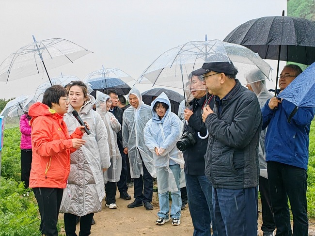 “十四五”國家重點(diǎn)研發(fā)計(jì)劃項(xiàng)目《作物重大線蟲病災(zāi)變機(jī)制與可持續(xù)防控技術(shù)研究》的關(guān)鍵防控技術(shù)現(xiàn)場觀摩會(huì)舉行