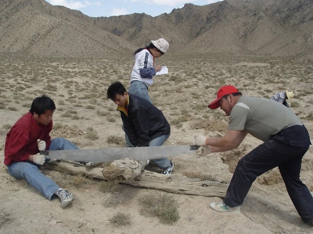研究表明青藏高原最近百年干旱在過去3500年極其罕見