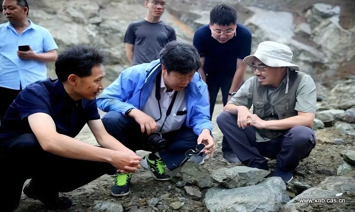 科技助力秦巴山區(qū)青山綠水變金山銀山——中國(guó)科學(xué)院西安分院、陜西省科學(xué)院支撐鄉(xiāng)村振興紀(jì)實(shí)